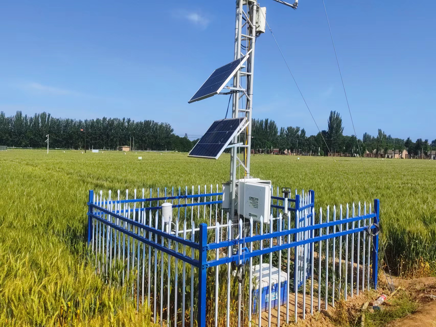 喜报——公司获批农业农村部野外综合科学观测研究站